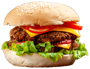 burger image